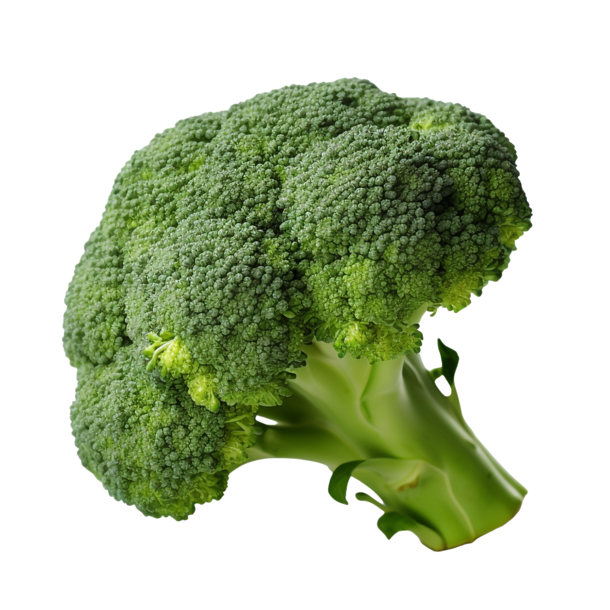 Fresh Green Broccoli – 250 grams