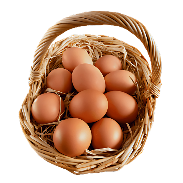 Fresh Chicken Egg – 1 dozen