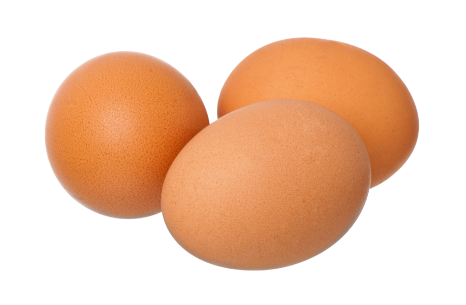 Fresh Chicken Egg – 1 dozen