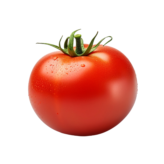 Fresh Tomato